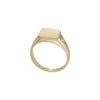 Ellis Gold-Tone Stainless Steel Signet Ring Ellis Gold-Tone Stainless Steel Signet Ring